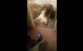 Zehirlenen köpek sahibinin çığlıkları içinde öldü