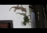 Canı pahasını eşini kurtardı
