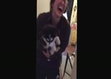 Husky yavrusunun konuşma çabası