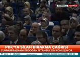 Erdoğan: Türkiye'de demokrasi katliamı yaşandı