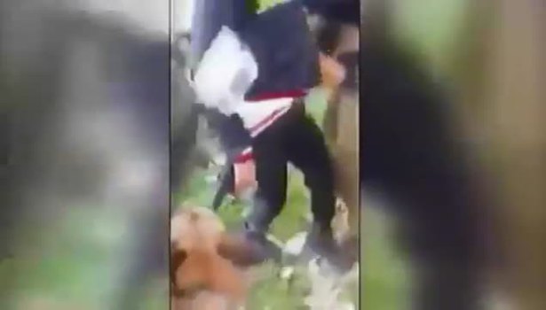 Filistinli çocuğa köpek işkencesi!