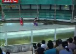 Timsah adamın elini kaptı