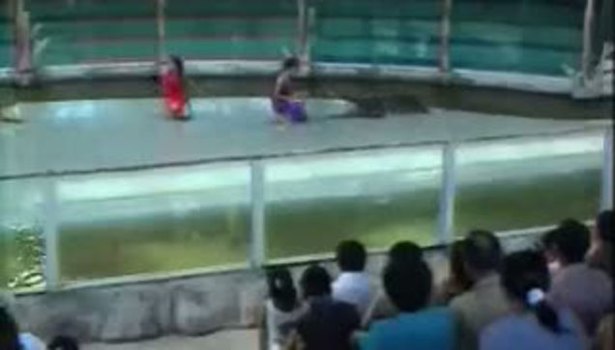 Timsah adamın elini kaptı