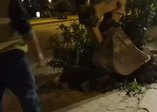 İzmir'de onlarca ağac kestiler