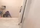 Dehşete düşüren görüntü