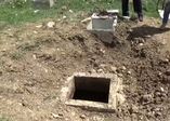Foseptik çukuruna düşen ayı kurtarıldı