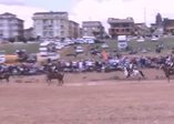 Darıca'da Geleneksel Cirit Şampiyonası