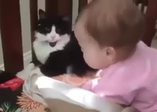 Beşiğini kediyle paylaşan sevimli bebek