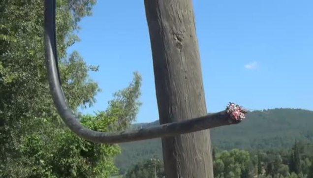 Telefon hattındaki kablolara göz diktiler-1