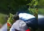 Toprak altında kalan yavru köpekler kurtarıldı