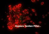 ‘Hz. Muhammed’in Hayatı’ 1.Bölüm (3)