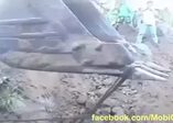 Kuyudan yavru fil kurtarma operasyonu kamerada