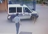 Komiser yardımcısı köpek vurdu