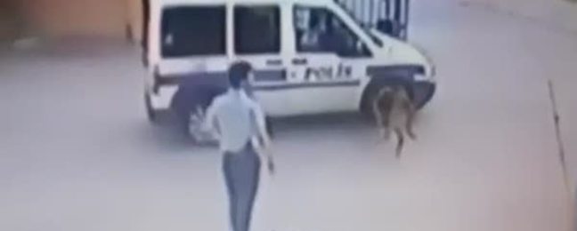 Komiser yardımcısı köpek vurdu