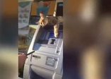 ATM'den para çekmeye izin vermeyen kedi