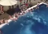 Havuzu taşırdı