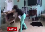 Öfkeli hayvanların gazabı !