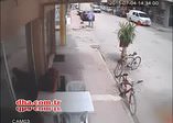 Kedi köpeğine saldırdı, sahibi de lokantaya