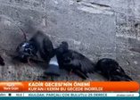 Kadir Gecesi'nin önemi