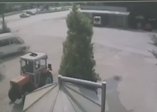 Polis hayvan hırsızlarını böyle yakaladı