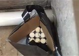 Kadıköy'de bomba paniği