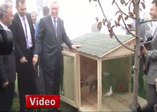 Erdoğan'ın başına keklik kondu