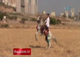 Atlar çarpıştı: Biniciler ölümden döndü !