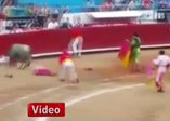 Boğa matadorlara arenayı dar etti!