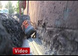 Kül kedisi masalı gerçek oldu
