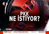 PKK ne istiyor?