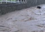 Sel araçları sürükledi