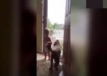 Bebek ve köpeğin sevinçten çıldırması