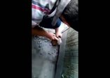 Yavru kediyi böyle kurtardılar