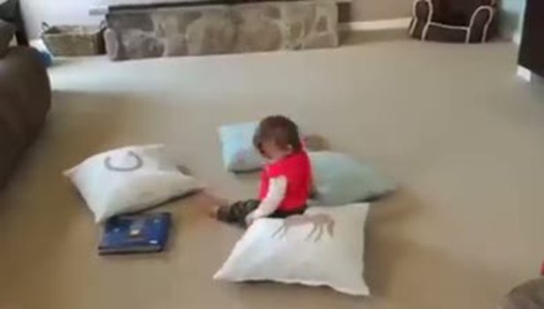 Bu bebek kedinin rüyalarına girer