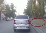 Kuşa çarpmamak zincirleme kazaya neden oldu