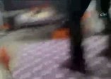 Yolunu şaşıran yavru ayı kahvehaneyi birbirine kattı