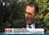 Yüzde 49,5 oyun sırrı ne?