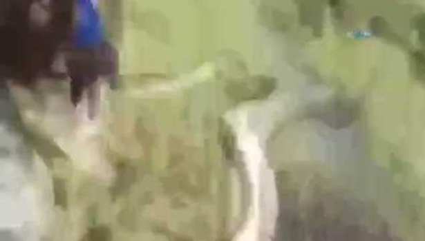 Balığı suya bırakırken öyle bir şey oldu ki