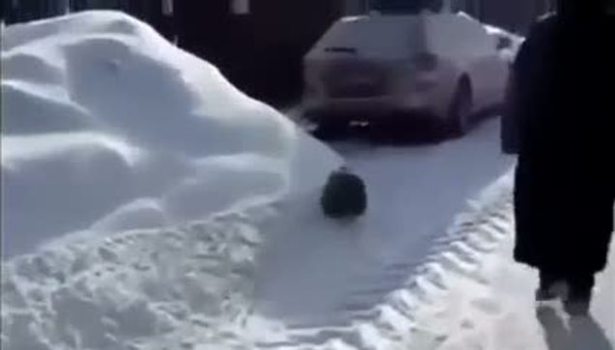 Maymuna bunu yaptılar