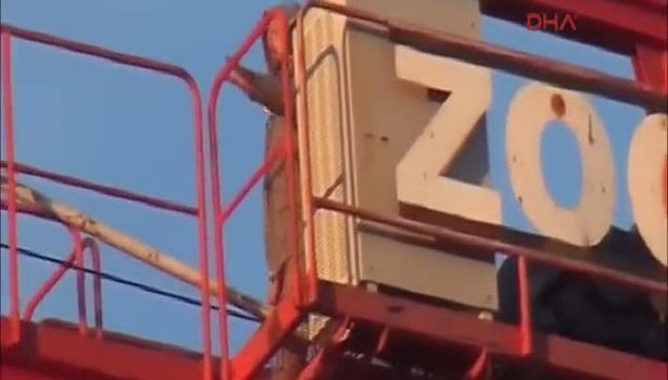 Maaşını alamayınca vincin üzerine çıktı