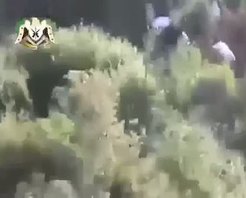 Rus pilot böyle ele geçirildi