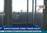 Bu hale getirdiler