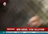 Suriyeli çocuklar açlıktan ölüyor