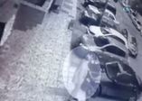 Köpek hırsızları kamerada