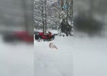 -20 derecede buz tutan Abant Gölü'ne girdi