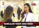 Hamileleri tehdit eden virüs!