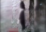 Gökçeada'da tüyler ürperten görüntü