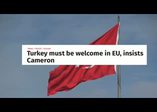İngiliz partiden Türkiye düşmanlığı