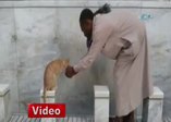 Kutsal topraklardan insanlık dersi