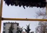 Lunaparkta eğlence ölümle bitti
